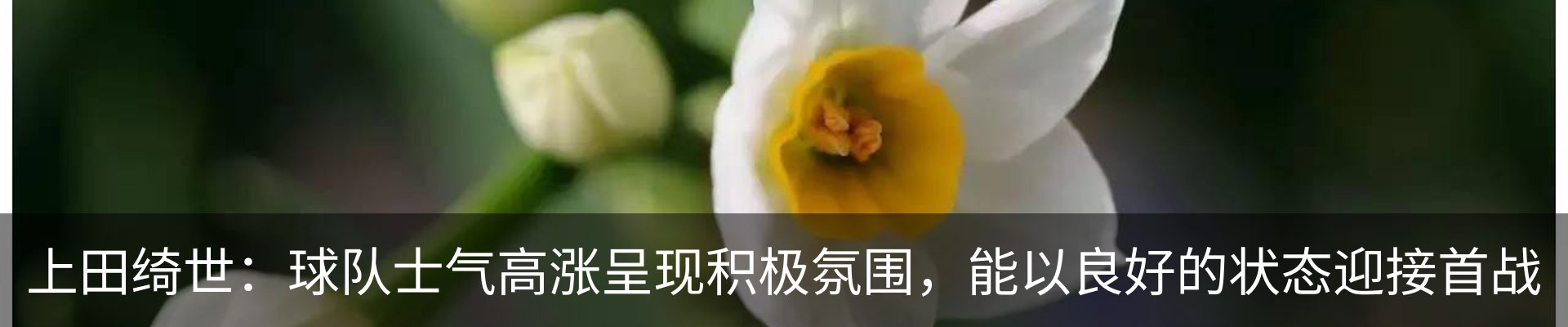 行业资讯