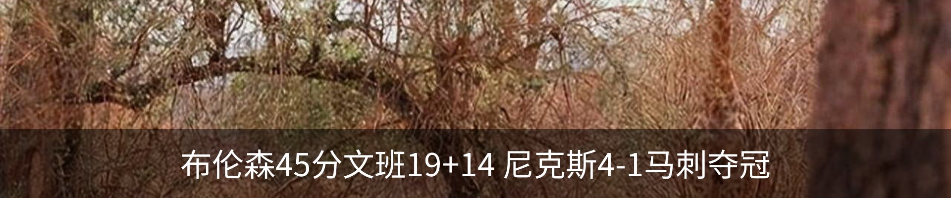 行业资讯